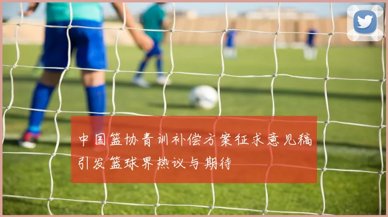 中国篮协青训补偿方案征求意见稿引发篮球界热议与期待