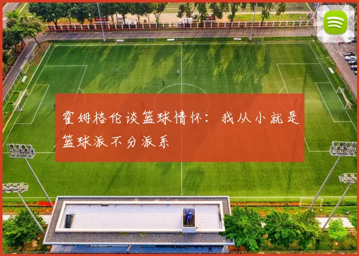 霍姆格伦谈篮球情怀：我从小就是篮球派不分派系